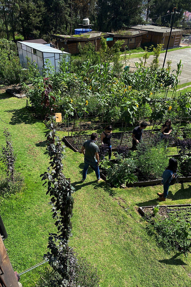 Ectágono-Huertos-TierraPermanente